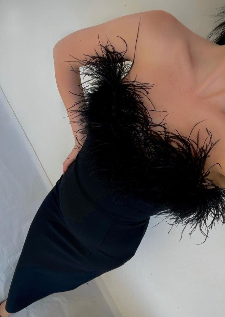 Luxurious Feather Dress