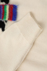 Rainbow Scarf Dog Graphic Crew Neck Sweater