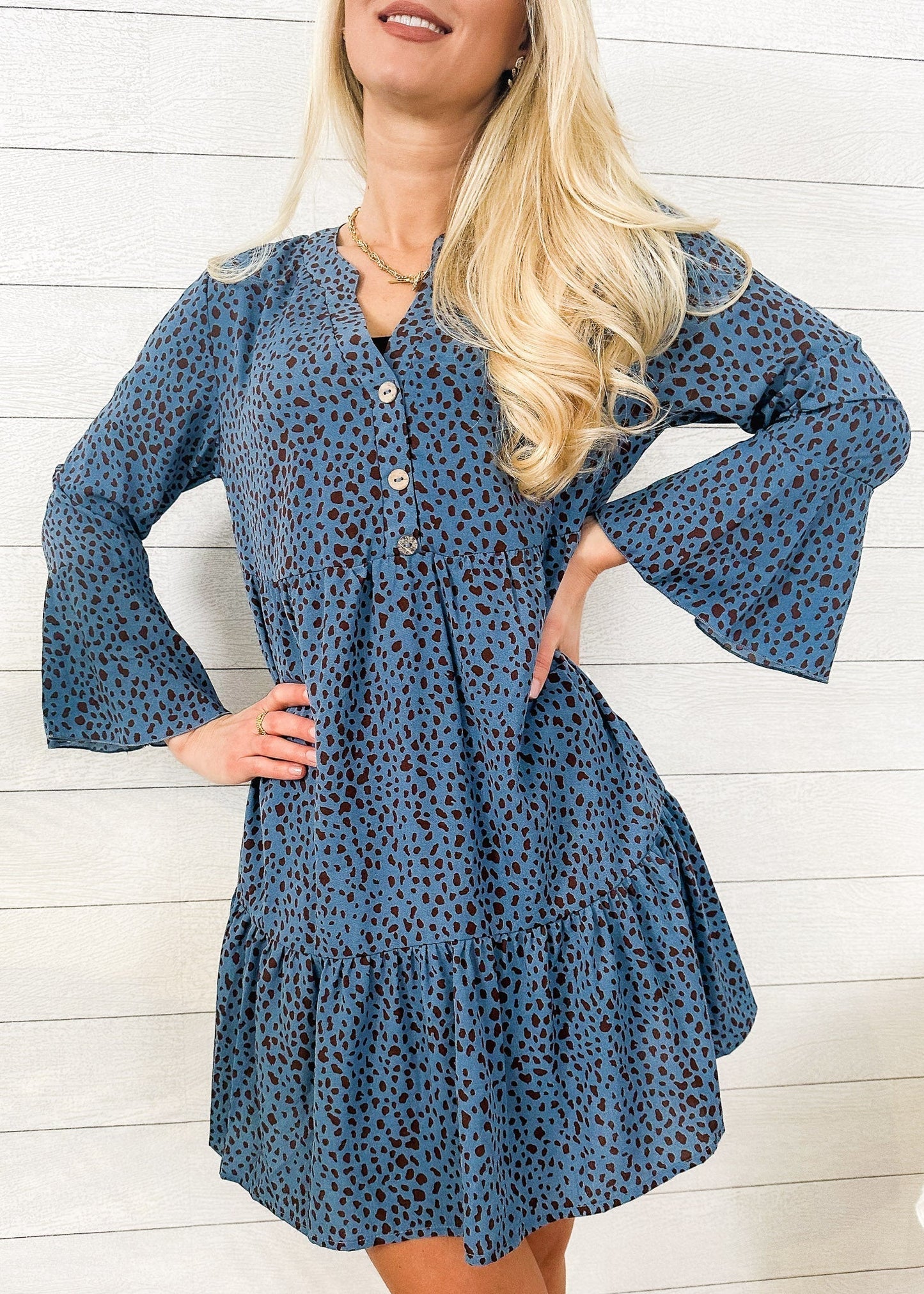 Long Sleeve Dotted Dress