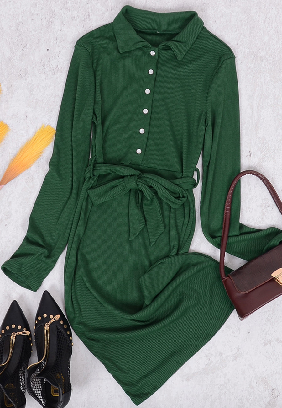 Button Classic Shirt Dress