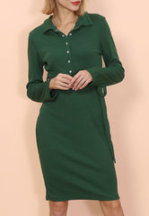 Button Classic Shirt Dress