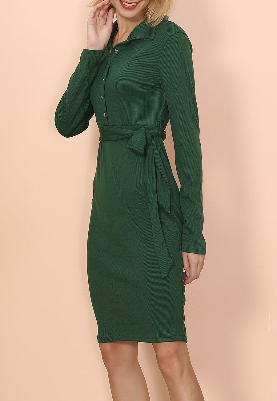 Button Classic Shirt Dress
