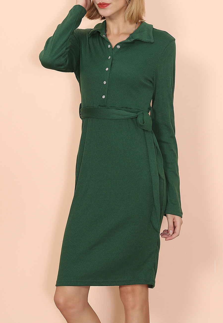 Button Classic Shirt Dress