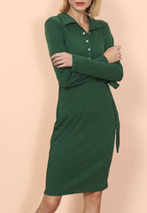 Button Classic Shirt Dress