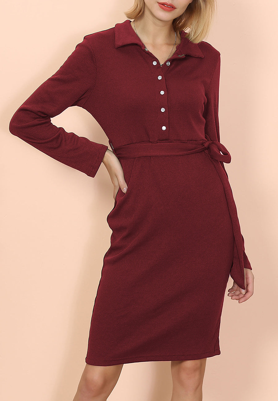 Button Classic Shirt Dress