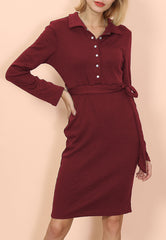 Button Classic Shirt Dress