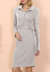 Button Classic Shirt Dress