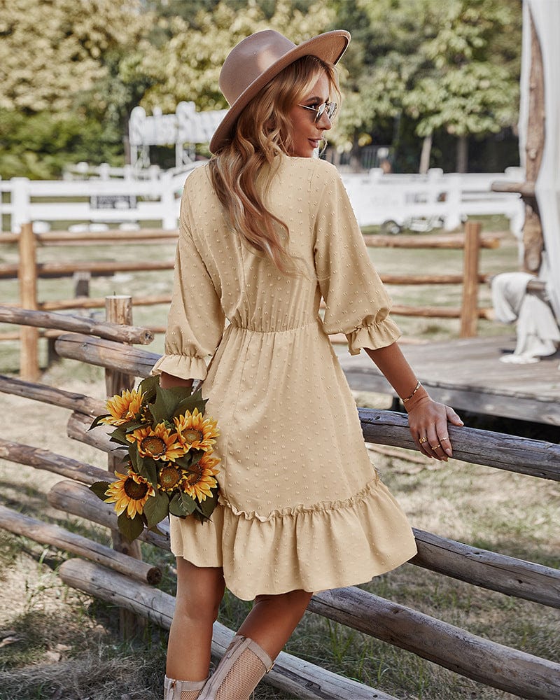 Lace Clip Dot Neck Dress