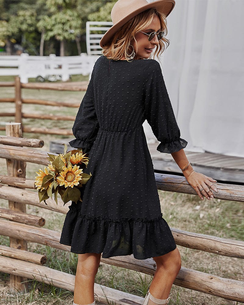 Lace Clip Dot Neck Dress