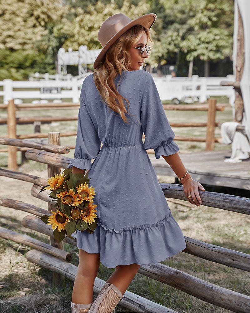 Lace Clip Dot Neck Dress