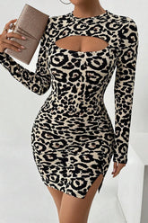 Leopard Print Cutout Long Sleeve Mini Dress