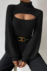 Sexy Turtleneck Fitted Sweater