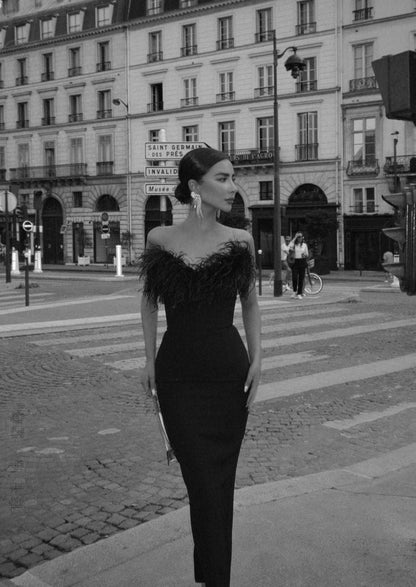 Luxurious Feather Dress