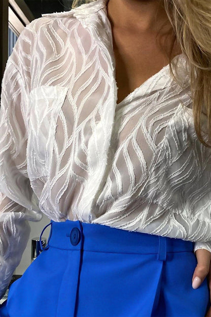 Sheer Textured Button-Up Long Sleeve Blouse