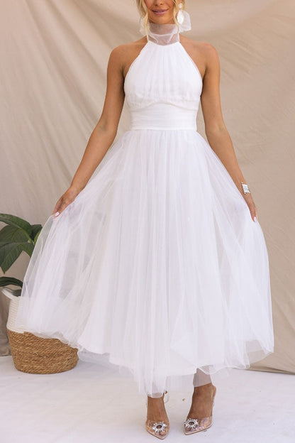 Fancy Tulle Dress