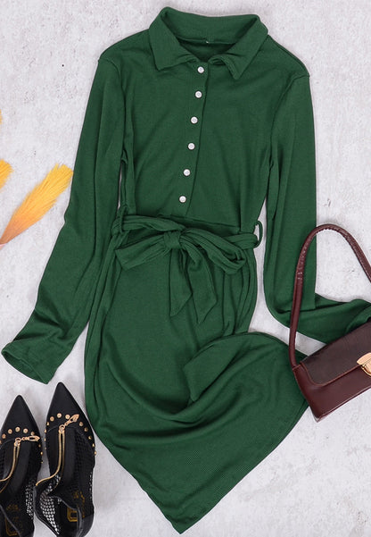 Button Classic Shirt Dress
