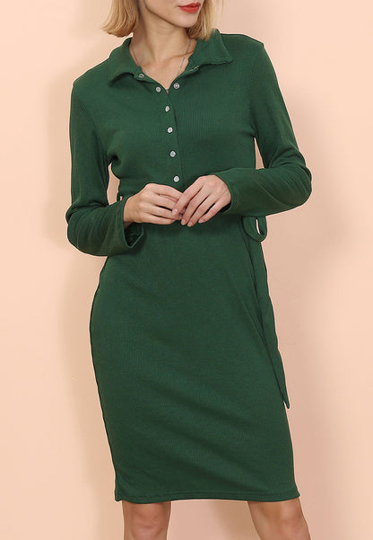 Button Classic Shirt Dress