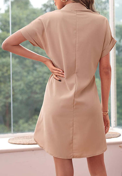 Twist Classic Button Dress
