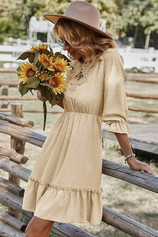 Lace Clip Dot Neck Dress