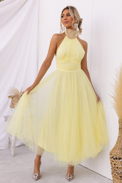 Fancy Tulle Dress