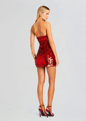 Sequins Strapless Bodycon Mini Dress
