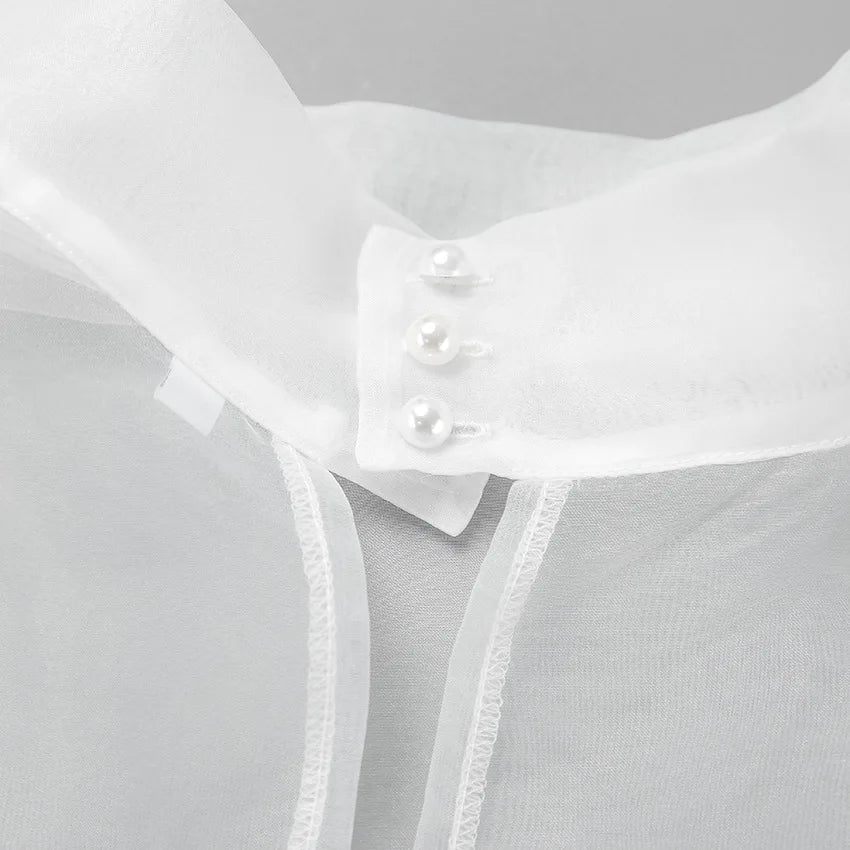 Mesh See-Through Long Sleeve Shirt