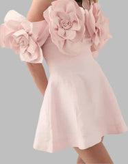 Women's Slash Neck 3D Flower Mini Dress