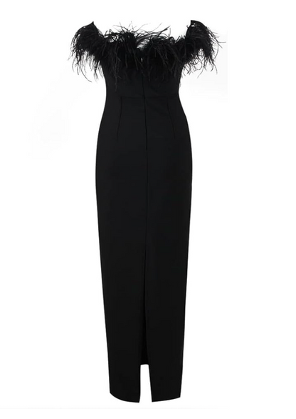 Luxurious Feather Dress
