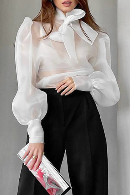 Sexy Solid See-through With Bow Half A Turtleneck Blouses(3 Colors)