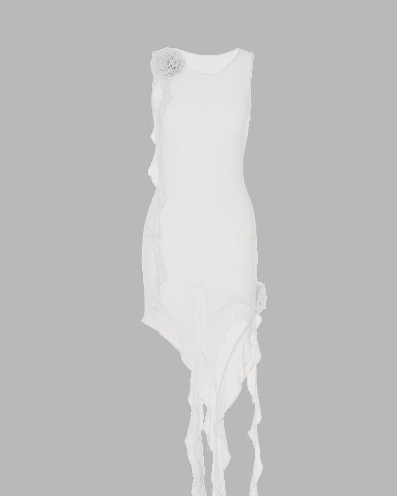 Divis Arcane Mesh Frills Cover Dress